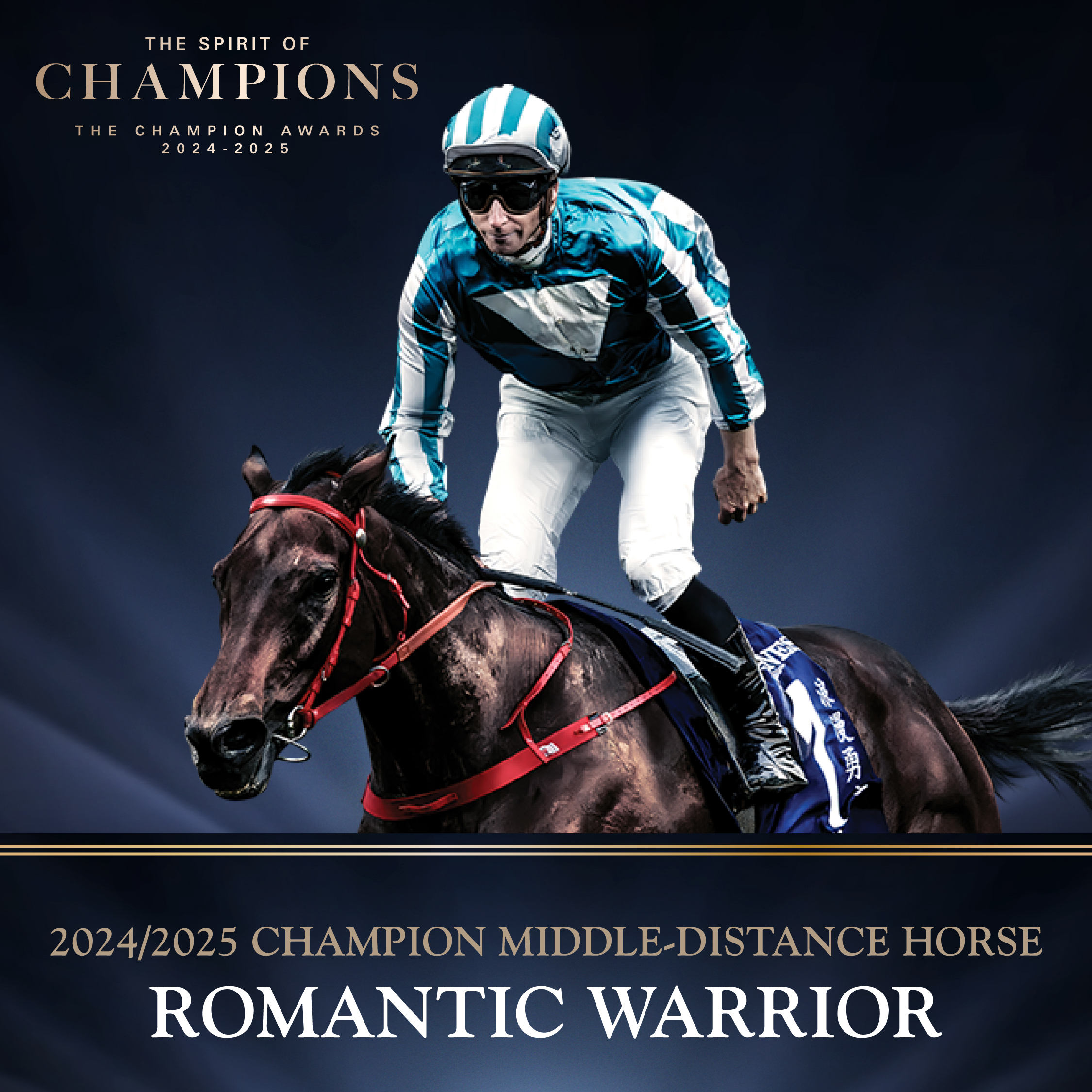 「美品！」Champion Jockey Special! USED Wii Champion Jockey: Gallop Racer & GI Jockey 37757