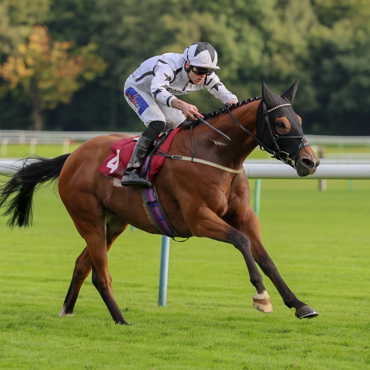 Racing Post tweet media