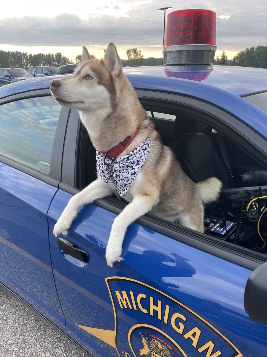 Happy Furry Friday!  🐶

Tri-City Troopers found this dog overnight and cared for it until 8am. They took him to the Saginaw County Animal Shelter so his owner can find their missing their furry bestie! 

Found in Freeland near the High School.