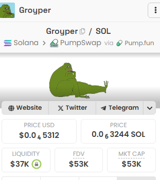 As the far-right political movement gains momentum, I believe the best way to capture that through the meme coin market is with $GROYPER. 

As most of you know, the Groypers are led by Nick Fuentes and have been proven right time and time again, and Nick is gaining a lot of