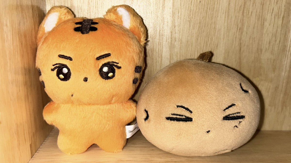 쩡랑이 4개월만에 도착 너무 귀요어ㅠㅠ