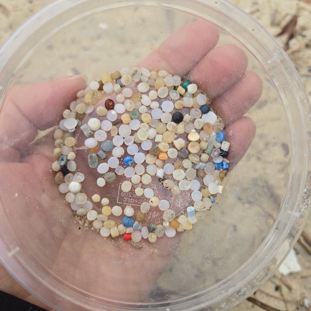 Great Nurdle Hunter (@greatnurdler) on Twitter photo There is still time to sign up to our webinar on the #globalplasticstreaty & #pellets! 🙌
🕐Wed 16th July, 11am BST
Join Fidra and others as we dive into how the Global Plastics Treaty can tackle pellets
Register now ➡️ us02web.zoom.us/meeting/regist…
Photo credit: <a href="/PlasticFreeSeas/">PlasticFreeSeas</a> There is still time to sign up to our webinar on the #globalplasticstreaty & #pellets! 🙌
🕐Wed 16th July, 11am BST
Join Fidra and others as we dive into how the Global Plastics Treaty can tackle pellets
Register now ➡️ us02web.zoom.us/meeting/regist…
Photo credit: <a href="/PlasticFreeSeas/">PlasticFreeSeas</a>