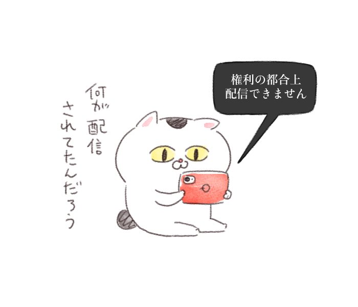 yuko865's tweet image. バラエティ番組のリアタイ視聴を逃したねこちゃん