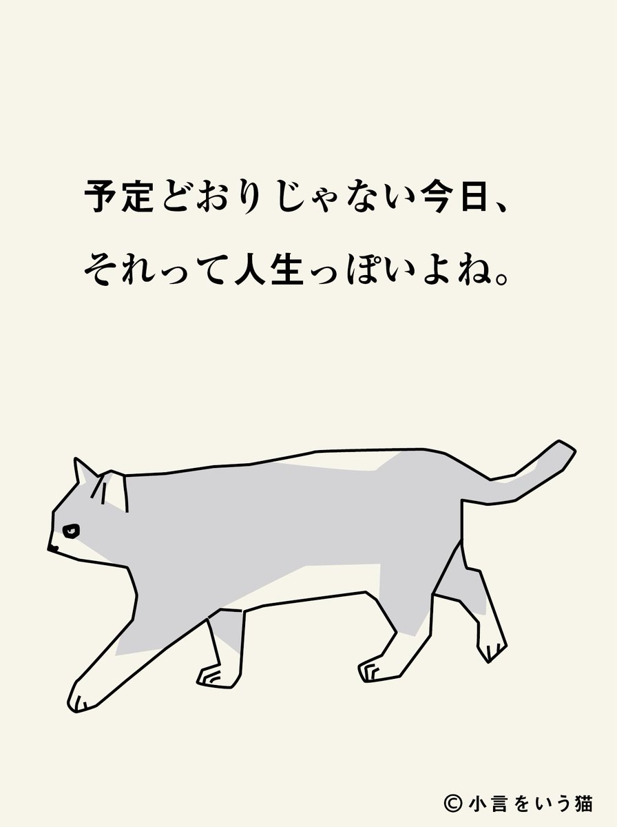 ねこ＊プロフィール必読＊ penkichi (@penkichi9) / X