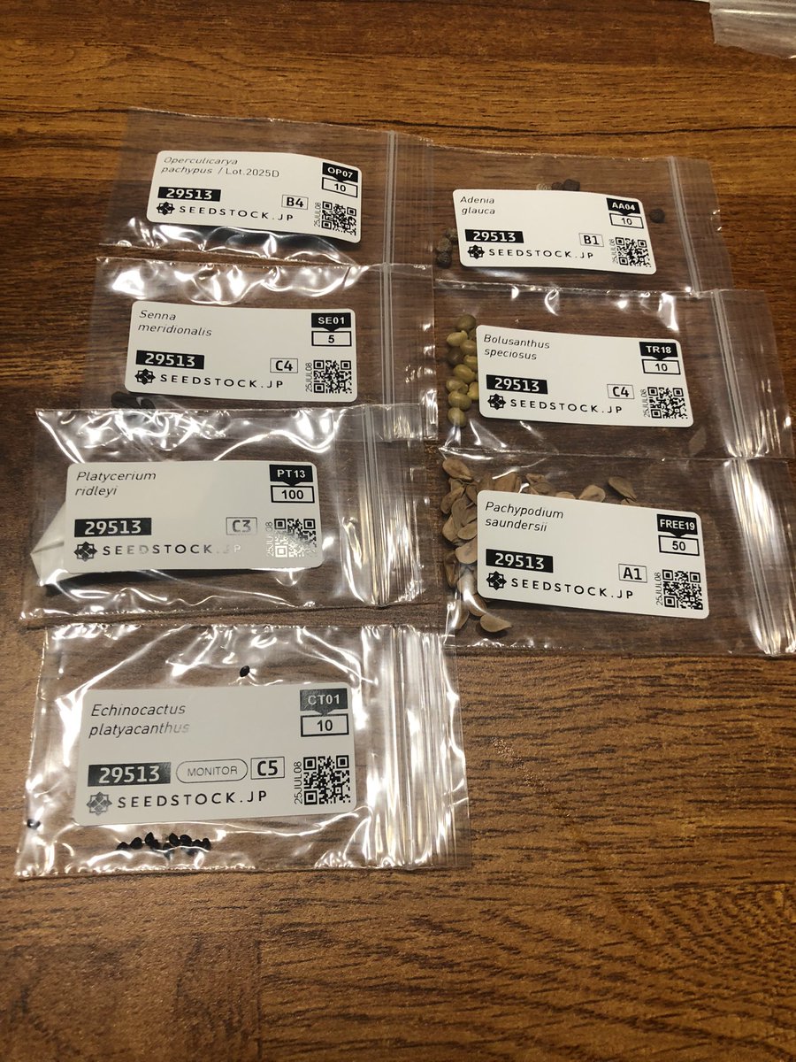onog12m0's tweet photo. よーし　蒔くぞぉぉぉぉ🌱🌱🌱
難しい子もいるけどチャレンジ💪 https://t.co/yVWIRhGW7E