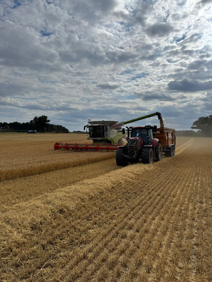 A snap from this week harvesting Winter Barley! #harvest25
