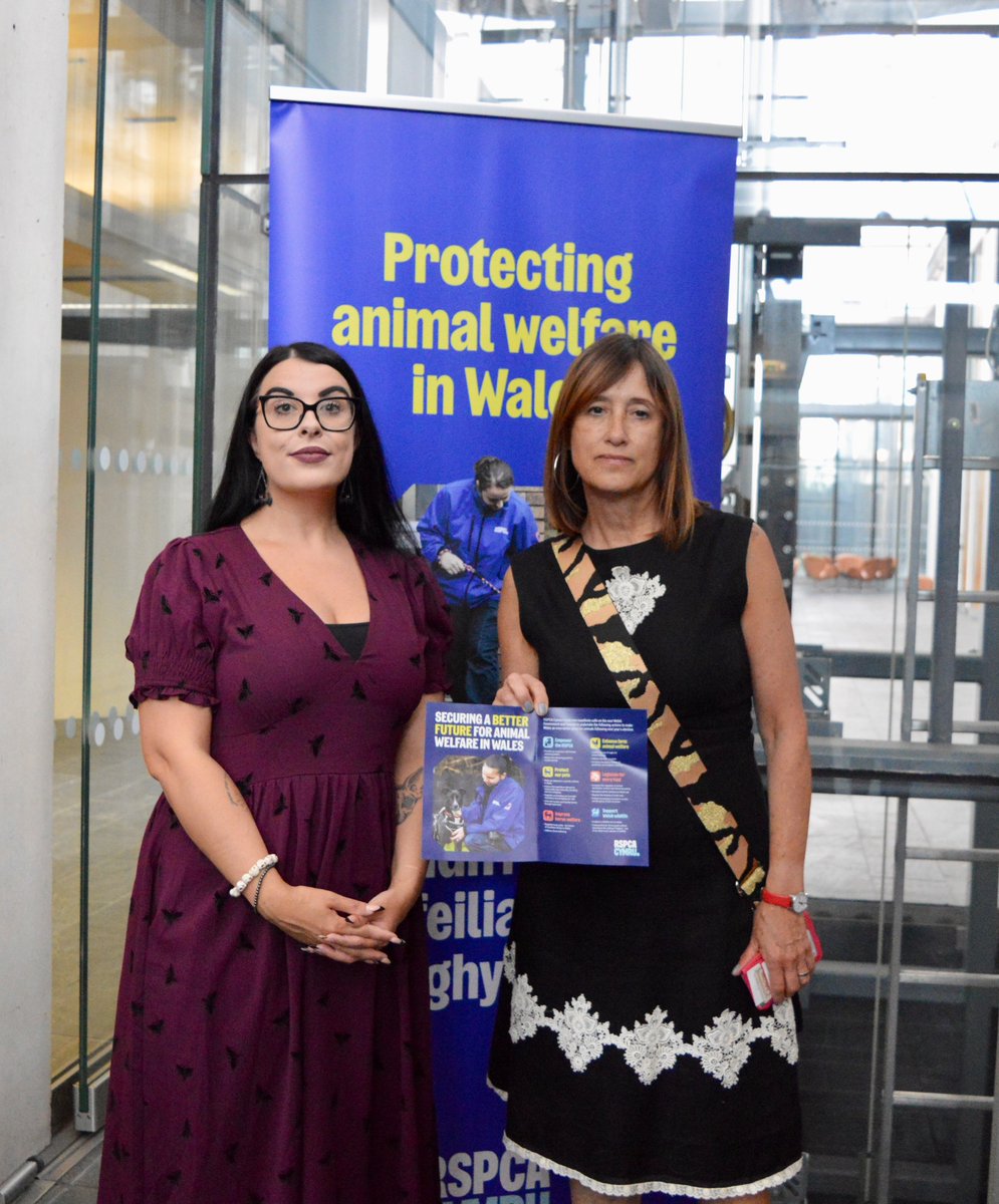 RSPCA Cymru (@rspcacymru) on Twitter photo Earlier this week, we launched our brand new manifesto for next year’s Senedd election:
Securing a better future for animal welfare in Wales 🏴
A big ‘thank you’/‘diolch yn fawr’ to every Member of the Senedd who joined us and to <a href="/CThomasMS/">Carolyn Thomas MS / AS</a> for sponsoring ☺️ Earlier this week, we launched our brand new manifesto for next year’s Senedd election:
Securing a better future for animal welfare in Wales 🏴
A big ‘thank you’/‘diolch yn fawr’ to every Member of the Senedd who joined us and to <a href="/CThomasMS/">Carolyn Thomas MS / AS</a> for sponsoring ☺️