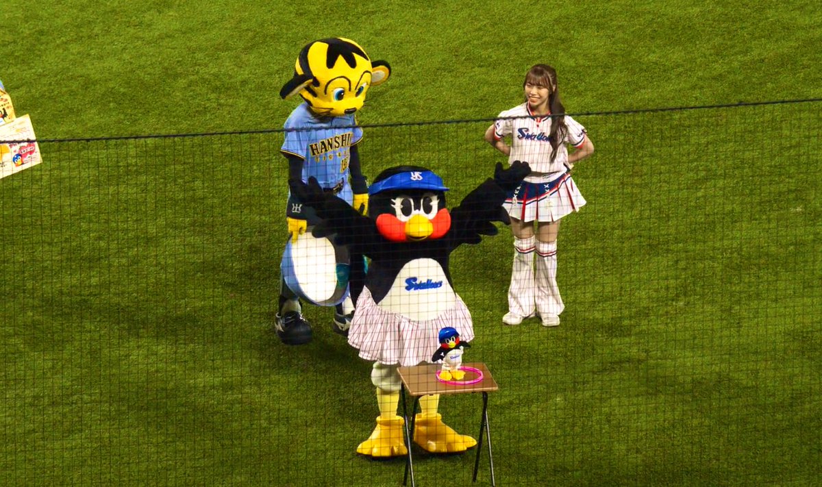 TSUBA_ch2020's tweet image. ヤクルトすわほー！！
本当に最後の最後までハラハラでしたが、やっぱり内山くんのグランドスラムが大きかったですね🥹
土日もすわほー期待してます☺️
#swallows
#すわほー
#内山壮真