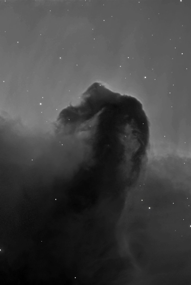 nvcchr's tweet image. HorseHead Nebula, here shown in Ha. Total exposure time, 20x300sec. Location Amager CPH DK.
#nebula #universe #horsehead #photo #photographer #photography #astronomy #astrophoto #astrophotography #skynight #nightsky #sky #stars
