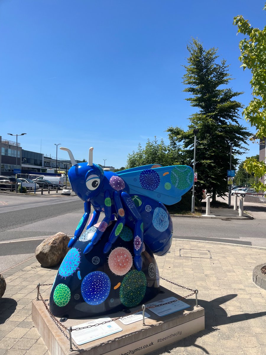 Happy Friday everyone ☀

We hope you enjoy the glorious weather over the weekend – make the most of it while it lasts! 😎