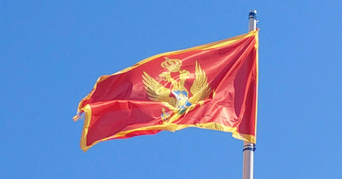 MaryLawlorhrds's tweet image. I'm hearing disturbing news about alleged surveillance of WHRD Dinara Smailova in #Montenegro. These allegations should be promptly investigated and her safety guaranteed. Also looking forward to a decision on her request for international protection. @MFA_MNE @KazakhPM_UNOG