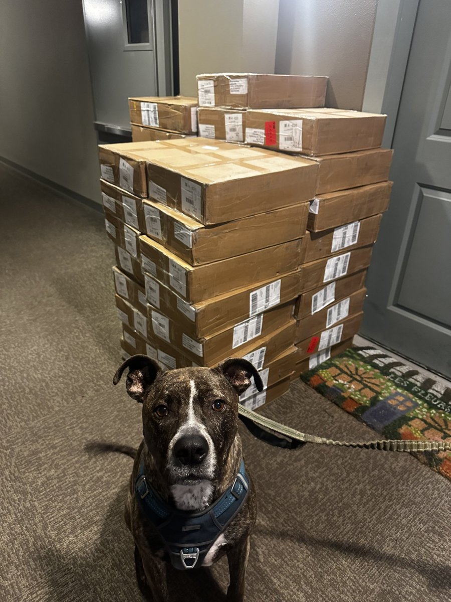 bloodandwaterzn's tweet image. Something very special got delivered to @lunamonroeao3 👀 (see Luna’s helper below hehehe)