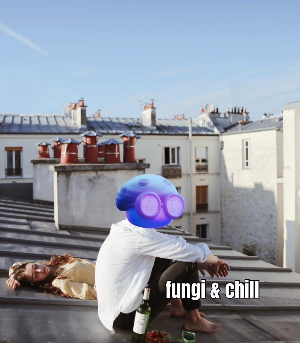 mc2lie's tweet image. what I just did:
step 1: take profits from meme/alt coin gains
step 2: swap them to stables (USDC)
step 3: let fungi (@FungiAgents) deploy it for yield autonomously
smart. simple. passive income never looked this chill.
fungi and chill