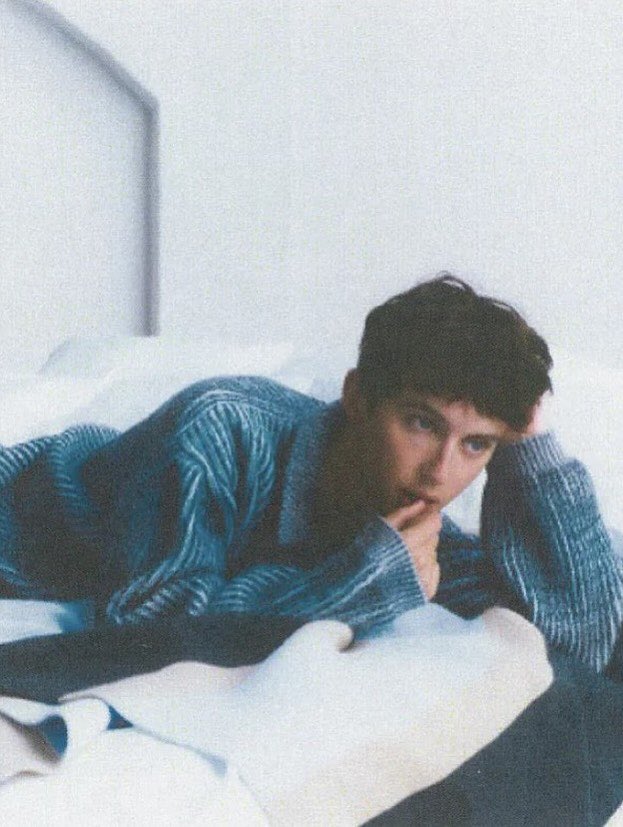 UpdatedTS's tweet image. Troye photographed for Vogue to showcase the latest TLY textile collection 🤍