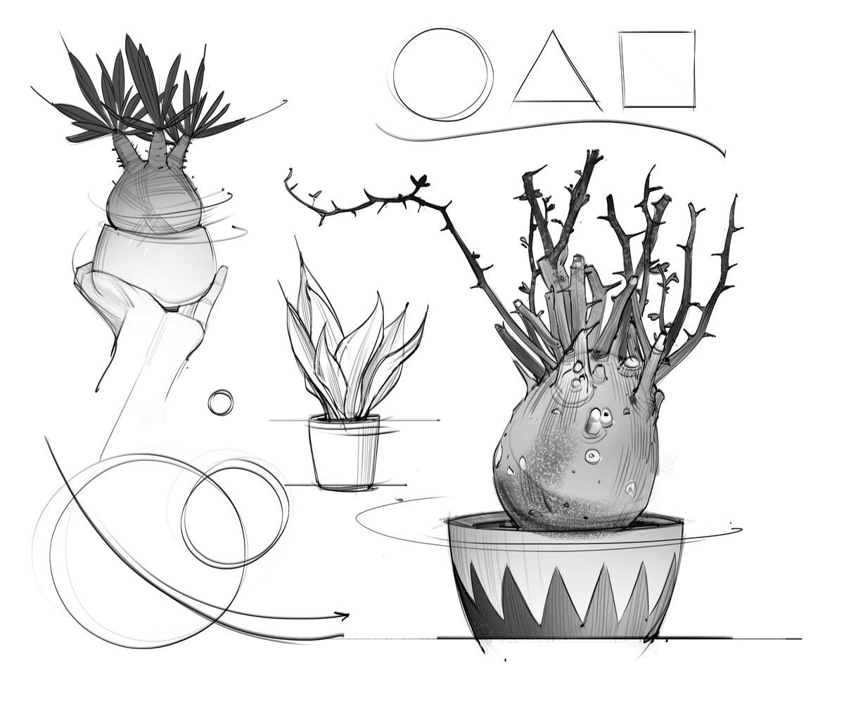 Morning plant sketches! Trying to get back to expanding my visual library by branching out:D #plants #sketches #lineart #desertplants #vegetation #landscape #environment #doodles #gottogetbetter #goals #art