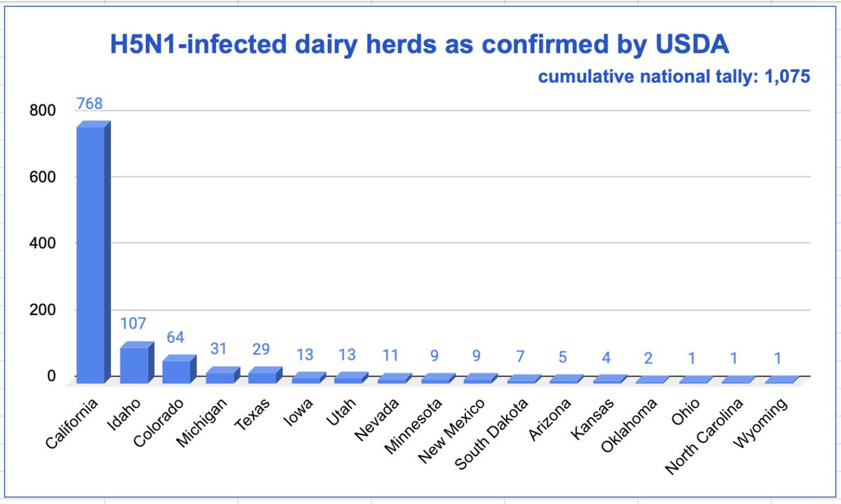 HelenBranswell's tweet image. New #H5N1 #birdful detections in dairy herds are few & far between these days. But the virus is still around. #USDA reported a new infection in California today, CA's 768th & the nation's 1,075th since the outbreak in cows was first recognized in March 2024.…