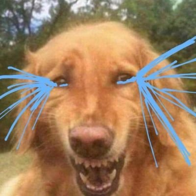 이렇게힘든건줄몰랐어