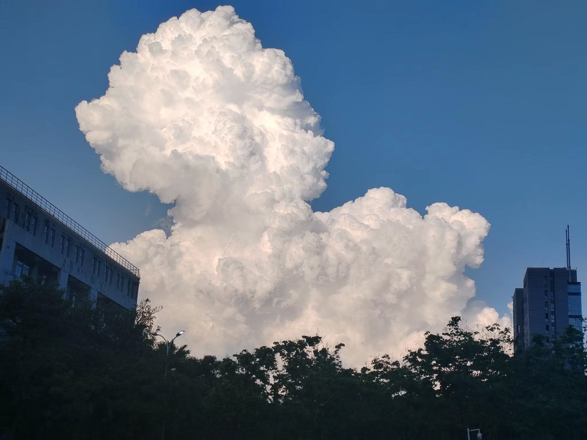 JasonKinFl5's tweet image. 七月的晴空是云朵的游乐园，所有棉花糖都在疯长。