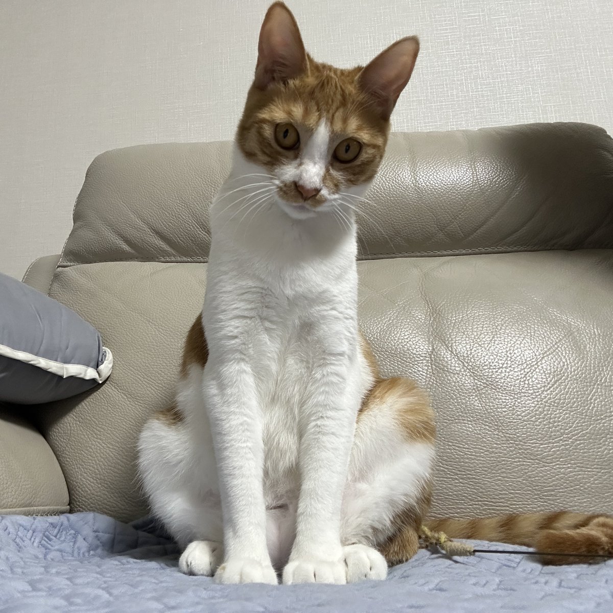 2OS211l8's tweet photo. 먕 https://t.co/Z5Ex6T49uI