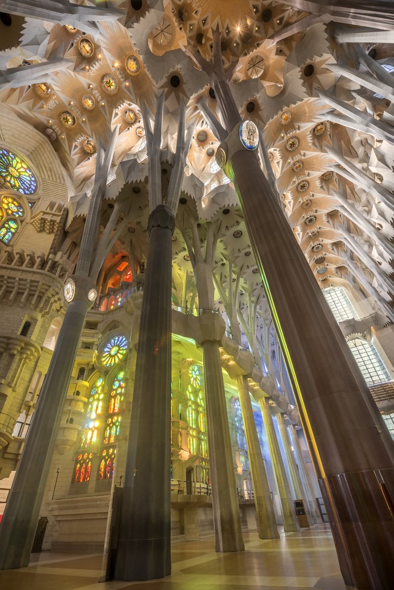 Les columnes de l’interior de la #SagradaFamília són úniques tant per la forma (doble gir) com per la seva estructura arborescent que permet absorbir i repartir les càrregues del temple. Descobreix com #Gaudí va plantejar aquesta nova columna en la història de l'arquitectura 👉