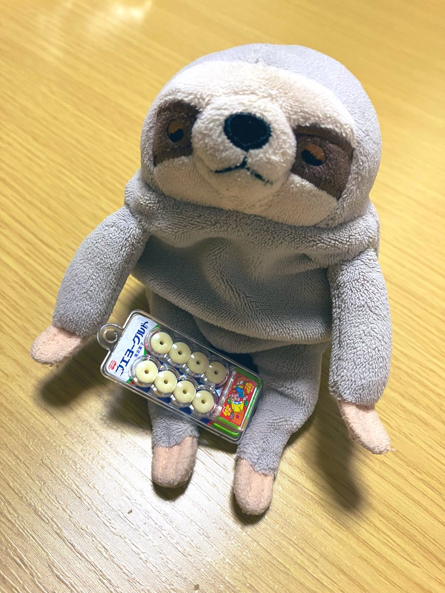 namuru_rururu's tweet image. なむるだよ。ふえらむねをかったよ🍬
みにちゅあらむねがついてるんだ💕
なむるは、ふえよーぐるとだったよ✨🍬🦥✨
#もちなまけ #なまけもの
#フエラムネ