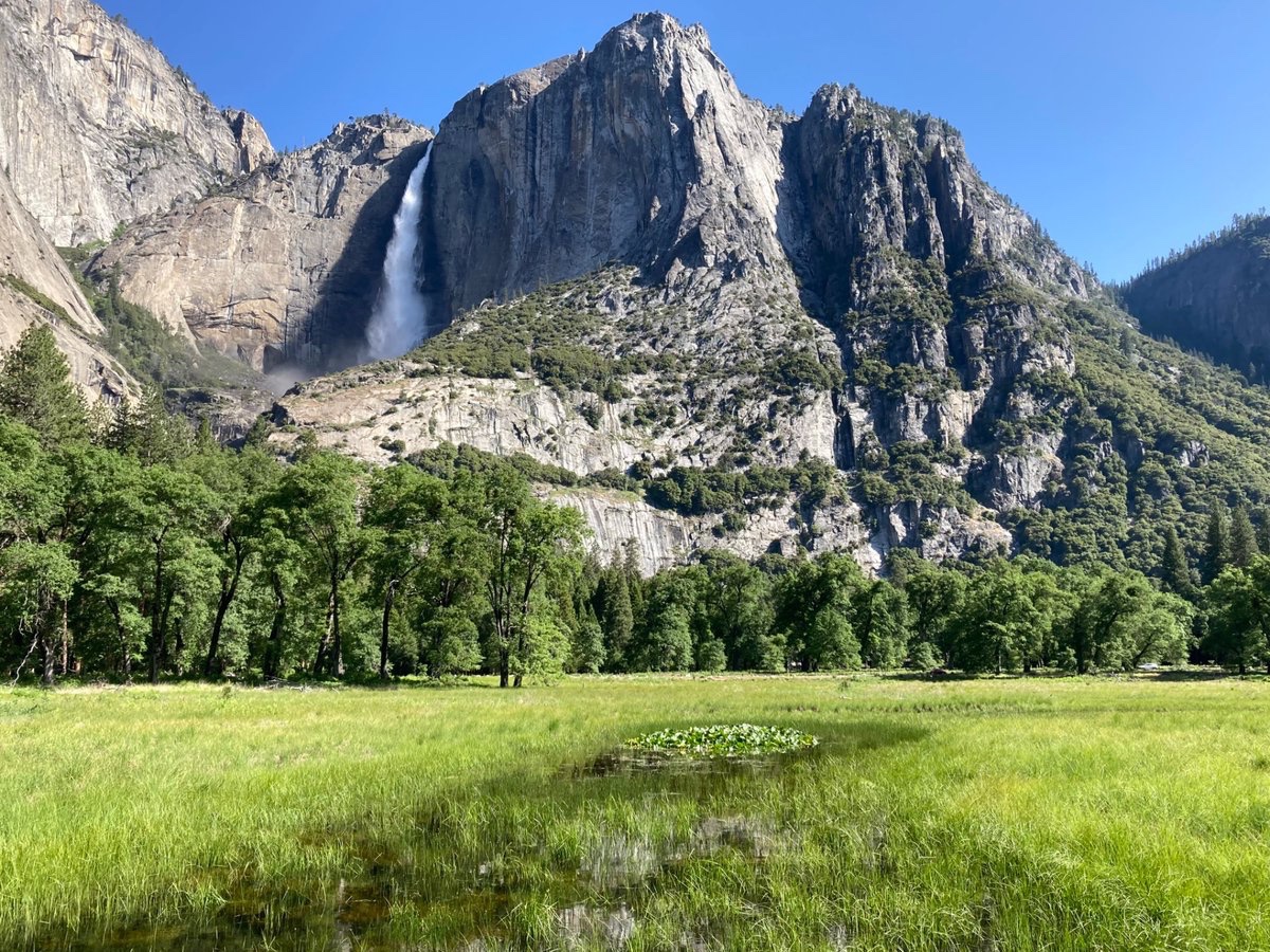wildcreativity's tweet image. What contribution
can we be
to the earth.
#naturephotography