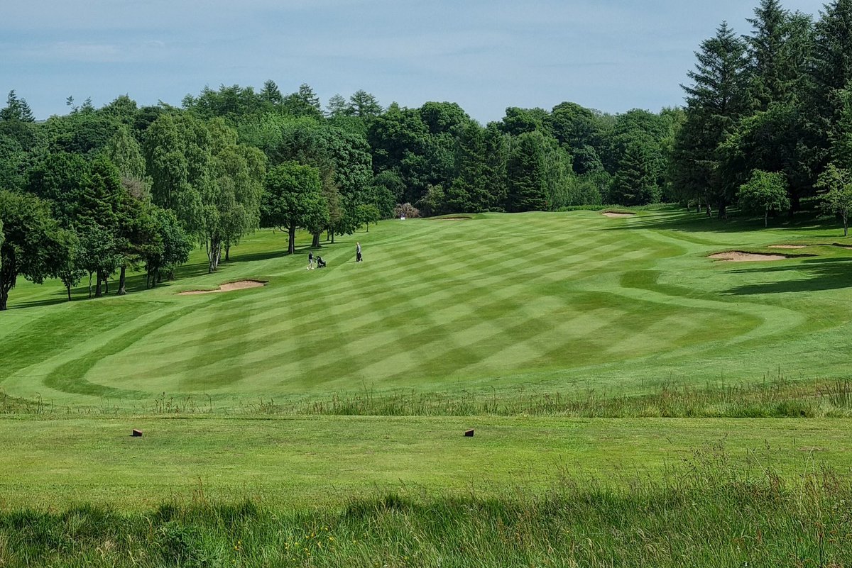 Darren Mcloughlin tweet media