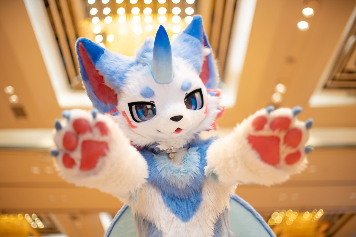GaoGaofurry's tweet image. 抱抱～

📷 @OGWOLF_yueyin 

#FursuitFriday #Guze #Furry