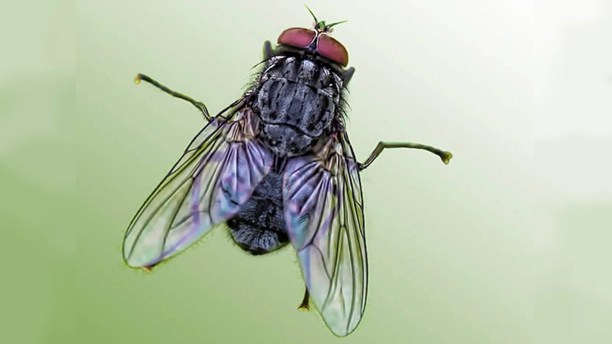 En Casa De Herrero tweet media