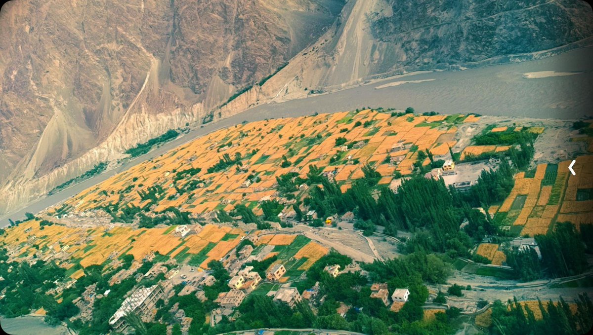 Sherine Fatima Balti (@fatima_sherine) on Twitter photo Good evening everyone 🌅
With beutiful scenery of my birth place Bogdang Nubra Ladakh.
<a href="/saket71/">saket साकेत ಸಾಕೇತ್ 🇮🇳</a> <a href="/ajaykraina/">Col AJ🇮🇳</a> <a href="/BikerGirlkancha/">Kanchan Ugursandi 🇮🇳</a> <a href="/vipul2777/">Crime Master Gogo (PARODY) 🇮🇳</a> Good evening everyone 🌅
With beutiful scenery of my birth place Bogdang Nubra Ladakh.
<a href="/saket71/">saket साकेत ಸಾಕೇತ್ 🇮🇳</a> <a href="/ajaykraina/">Col AJ🇮🇳</a> <a href="/BikerGirlkancha/">Kanchan Ugursandi 🇮🇳</a> <a href="/vipul2777/">Crime Master Gogo (PARODY) 🇮🇳</a>