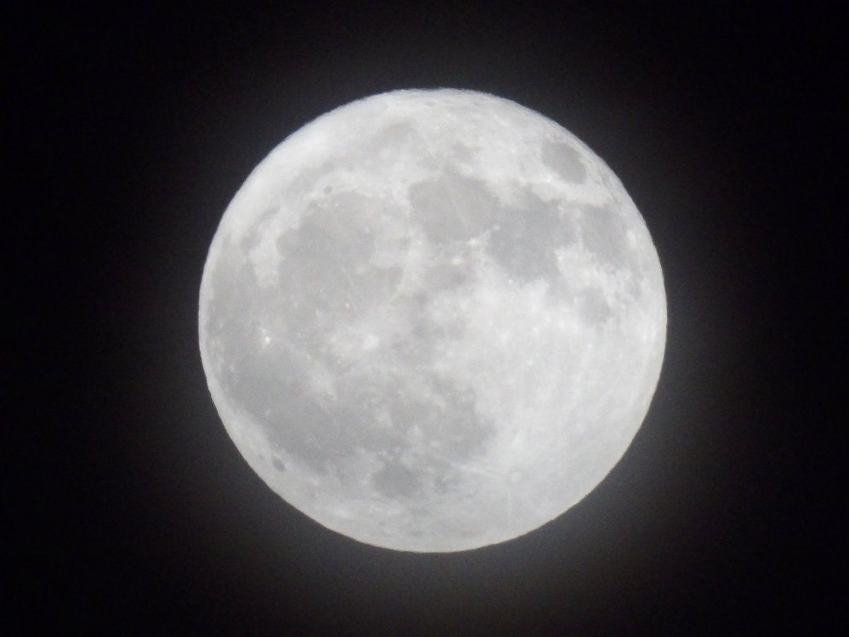 belleslore's tweet image. last nights moon