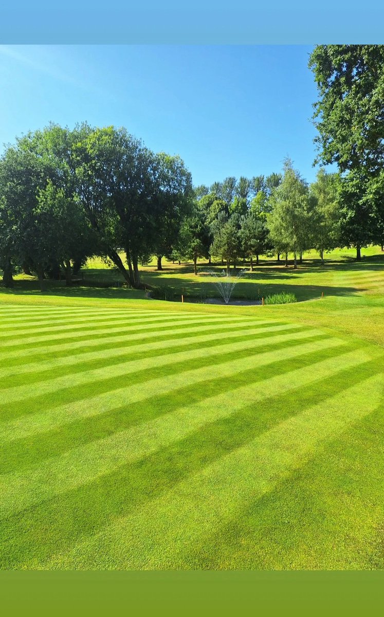 Callum Bradshaw tweet media