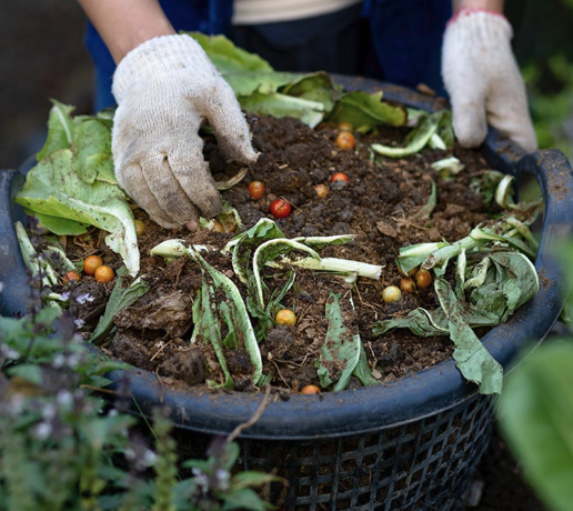 At Nellsar, sustainability is key. We reduce food waste, source local food and embrace seasonal, plant-based menus to lower our carbon footprint. Our commitment extends to water conservation and eco-friendly practices in our kitchens. Find out more bit.ly/402WkT4 🌍♻️