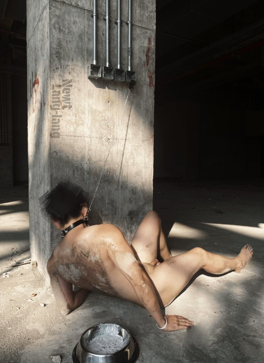 《废墟淫犬》
囚禁在尿液和废墟中
上交储存已久的狗精
成为无脑肌肉牲口
<a href="/newtone666/">Newt</a>