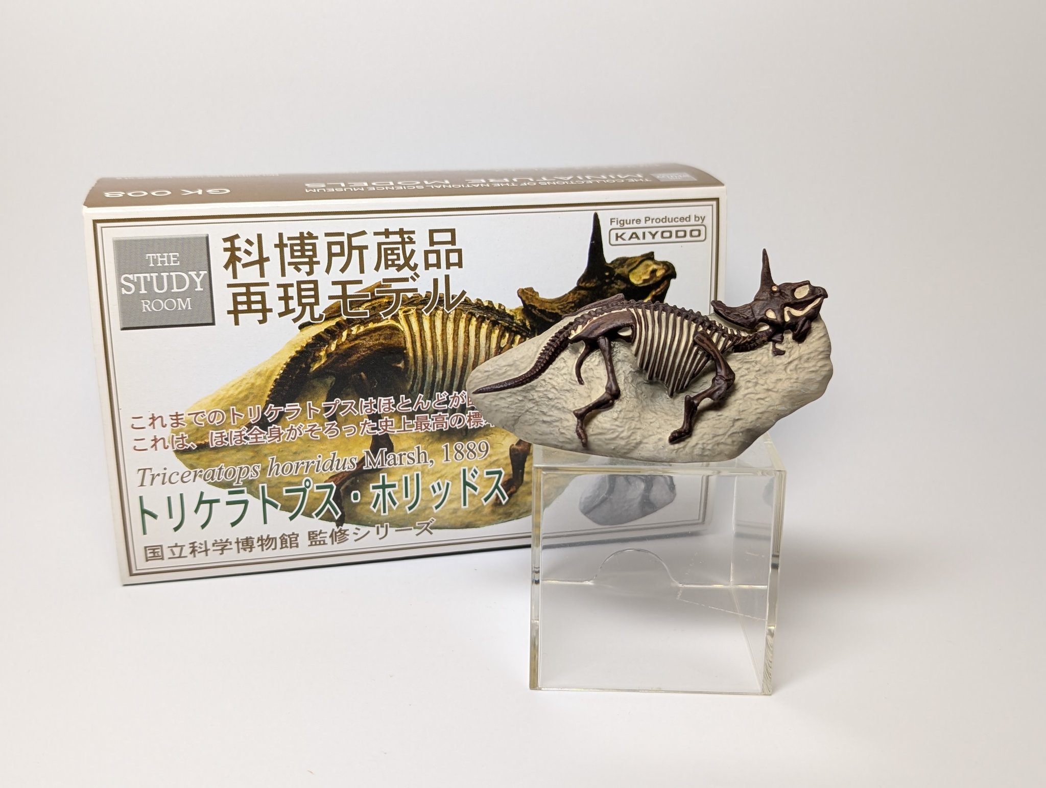海洋堂科博所蔵品再現モデル 化石 トリケラトプス ホリッドス 国立科学博物館 海洋堂 科博所蔵品再現モデル トリケラトプス ホリッドス