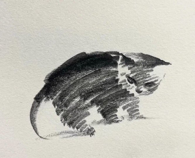 contents that ll heal your depression 🌻 (@catshealdeprsn) on Twitter photo 