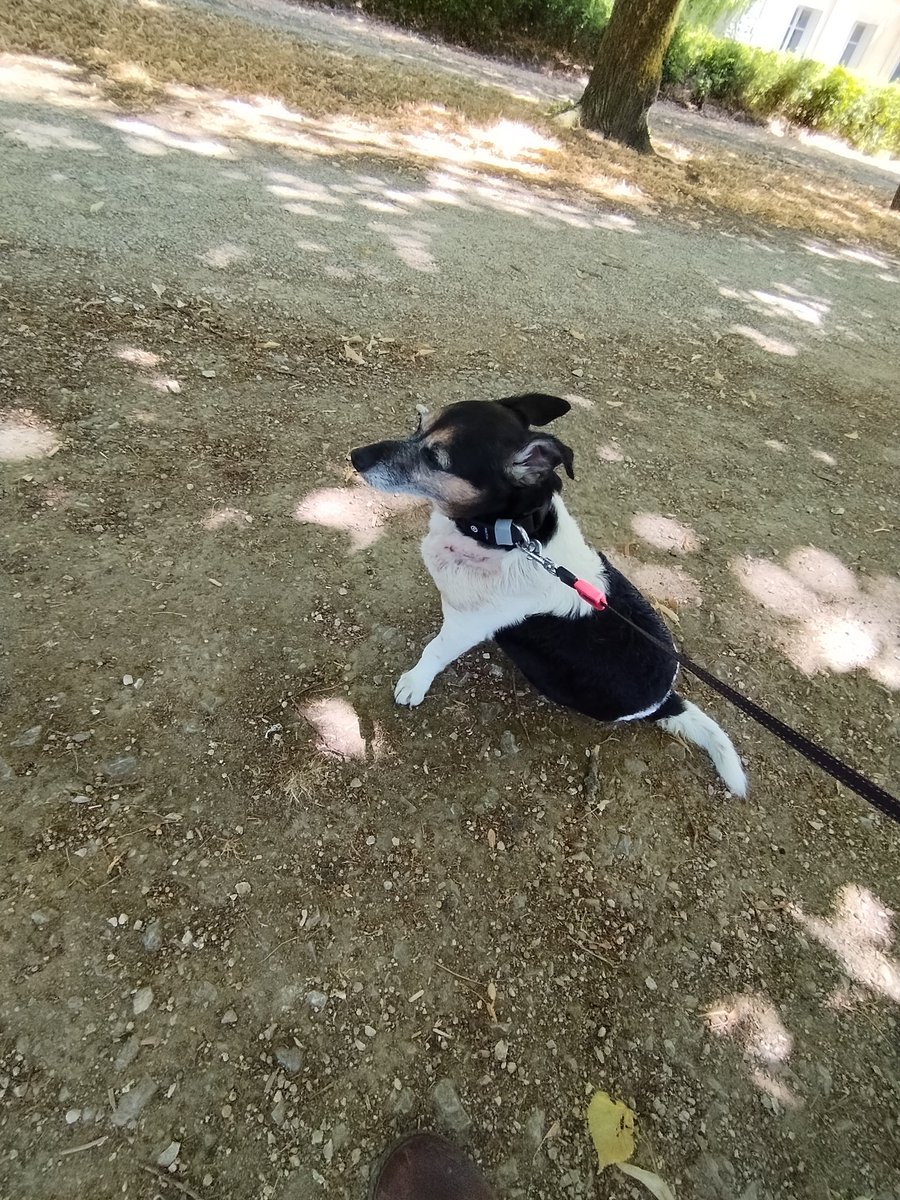 🇨🇵 Dédé 🇫🇷♿ tweet media