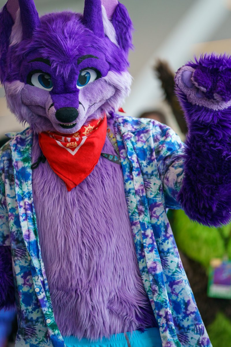 _Niqnaq's tweet image. Have a wonderful weekend! π
From the fursuit parade at #AC2025
π·: sirdrewthefree on Furtrack
#FursuitFriday