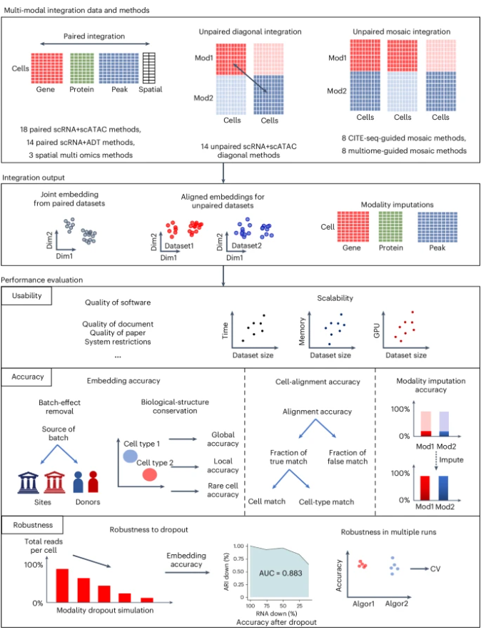 naturemethods's tweet image. A new Registered Report presents a comprehensive benchmarking analysis of single-cell multi-modal data integration methods. @adamtongji @SScottWang
nature.com/articles/s4159…