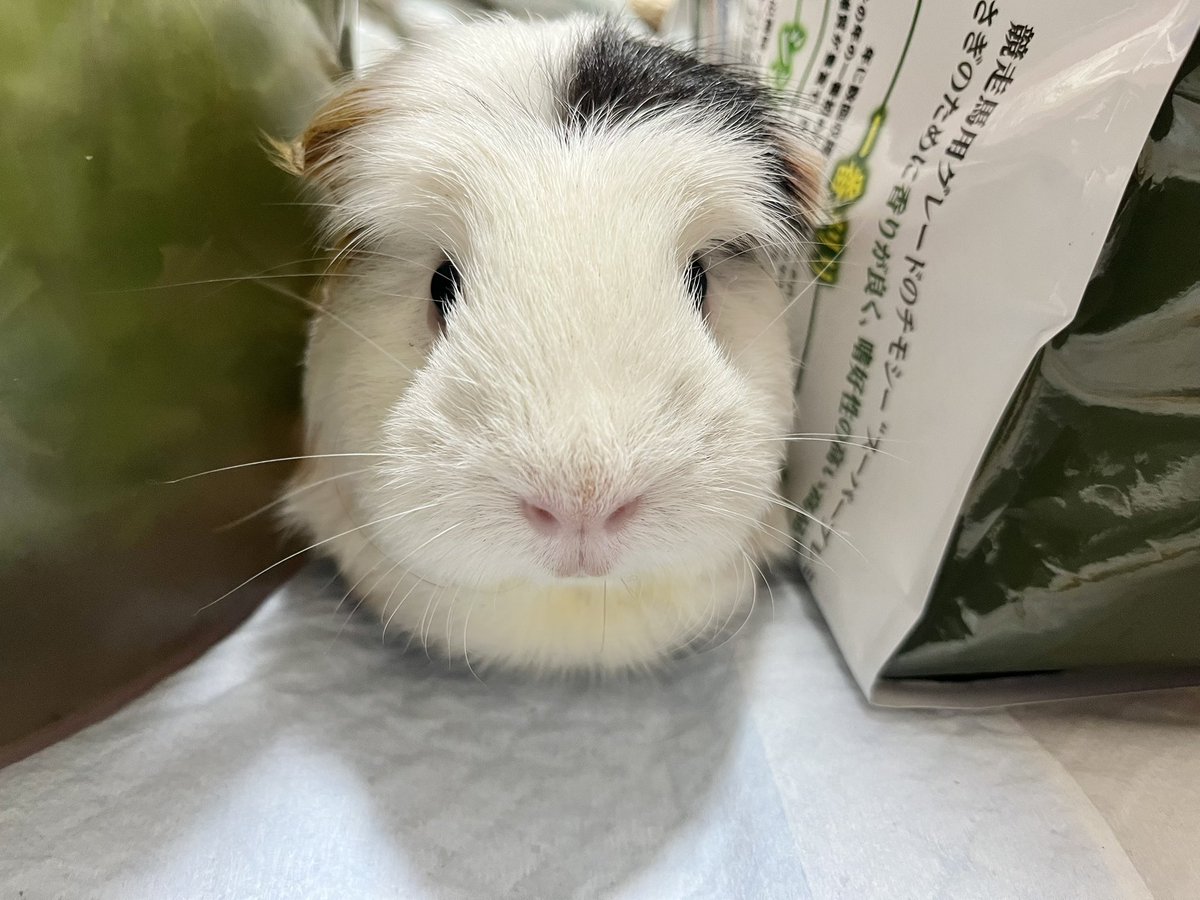 pitan201908's tweet image. お気に入りの場所