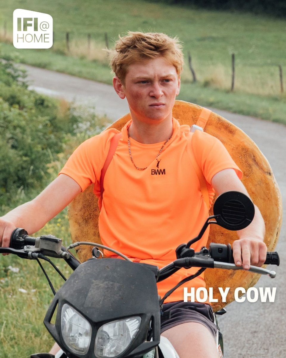 ConicFilm's tweet image. HOLY COW is now streaming on IFI@Home 🧀
Winner: Youth Award, Un Certain Regard - Cannes 2024
Winner: 2x César Awards - Best First Film / Best Female Revelation