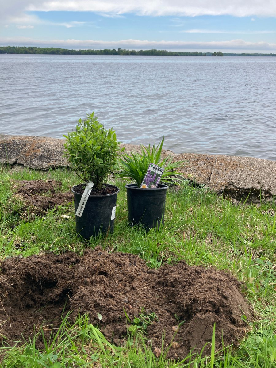Shore up your shoreline with a natural buffer! RVCA's Shoreline Naturalization Program covers up to 90% of costs to protect against geese &amp; erosion while maintaining your view &amp; water access. Learn more and book a free site visit: ow.ly/IZRa50WokIV