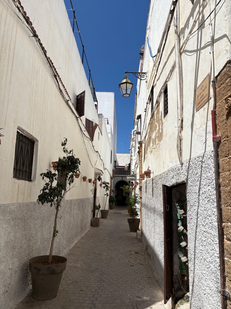 acerbialberto's tweet image. Rabat is a beautiful, safe, and cosmopolitan city. Excellent choice for the next @HumBehEvoSoc and Cultural Evolution Society conferences!
