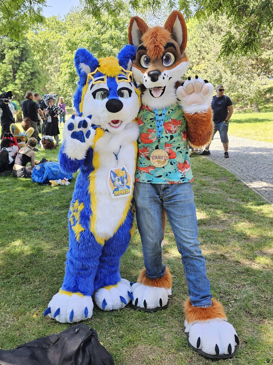 Happy #FursuitFriday everyone!! 💙💛✨️

Feat.: <a href="/TravisTheFoxDog/">Travis</a>

#furry #furryouting #furryczsk #furries #furryczech #furrycz #originalcharacter #mascot #cosplay #Fursuiters #fursuiting #furmeet #furrymeet #furrymeetup #Prague #praha #czechrepublic #pragfur