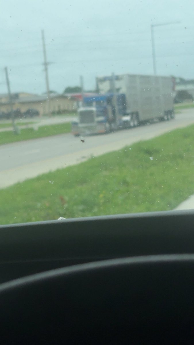 Shitty pic. But looking large this Friday morning.  <a href="/cameron_korth/">CKorth4</a> <a href="/TRKN4TACOS/">Kyle</a>