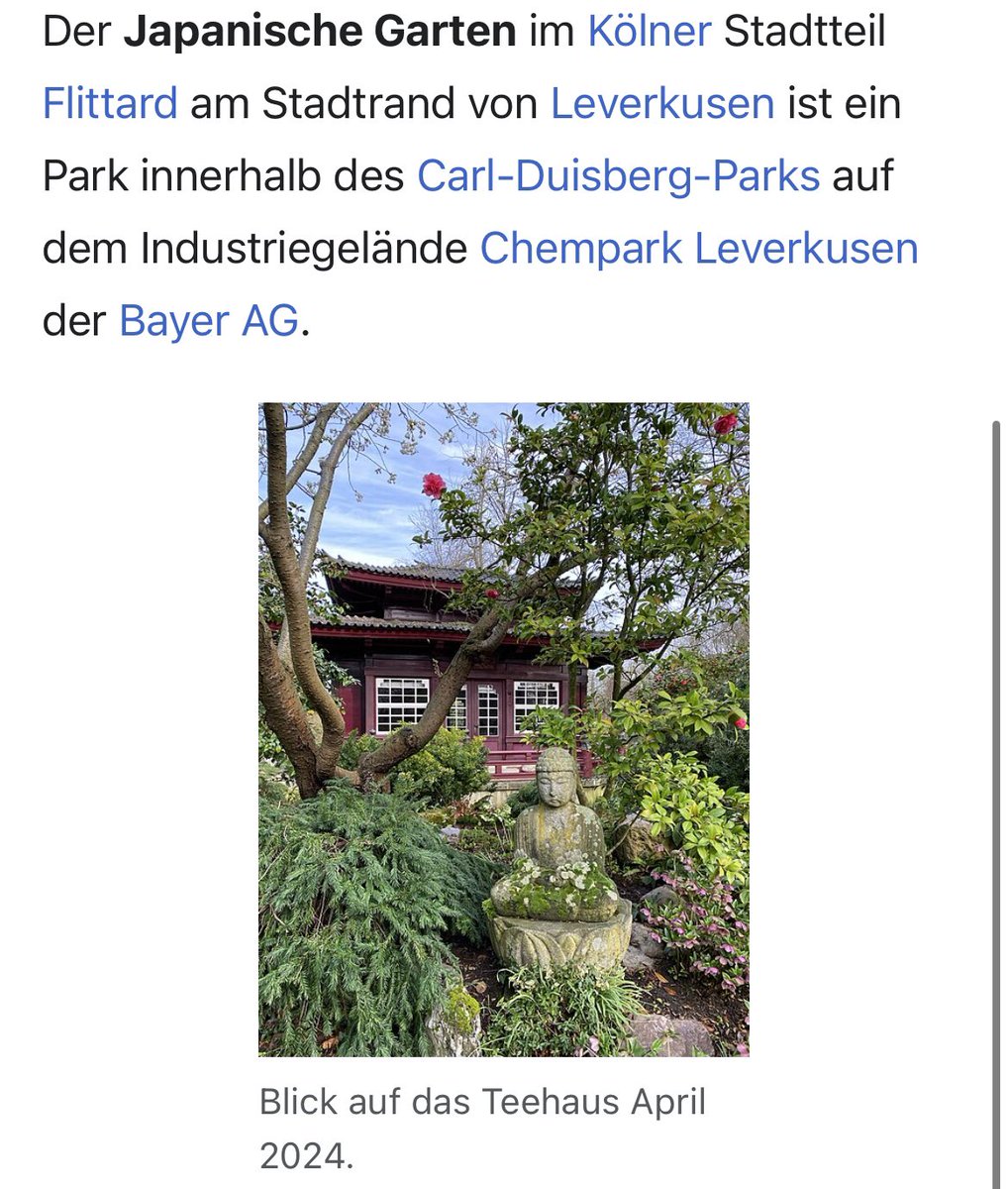 leverkusens berühmtes wahrzeichen das als inspiration für das auswärtstrikot dient liegt auf kölner stadtgebiet