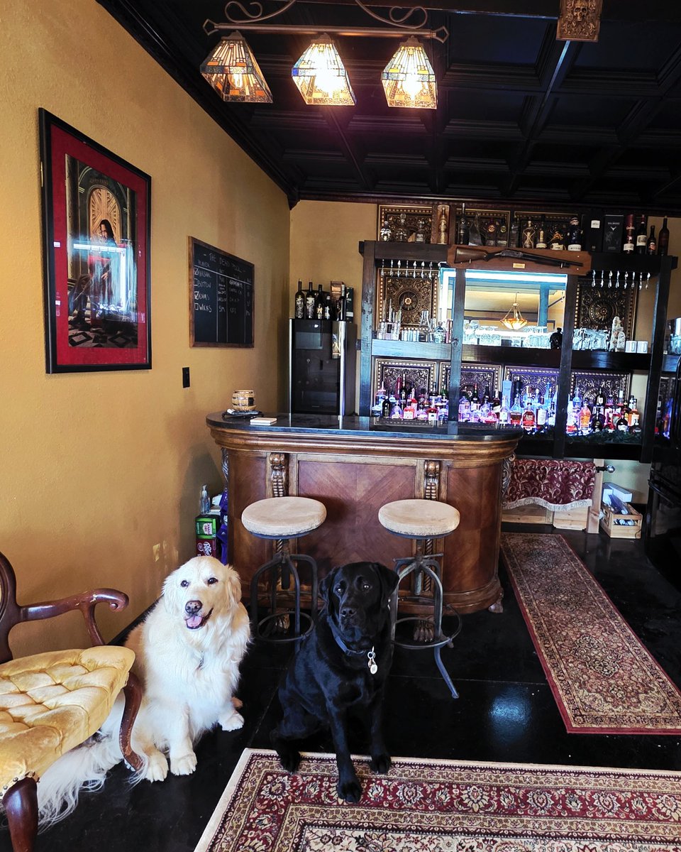 Ful_Filled_Life's tweet image. Our thermostat went out a few days ago and the replacement won't be here until this evening. Because it's so hot in the house, the boys have been hanging out in the Speakeasy where we have a separate mini-split. The Muppets have their own A/C, too! Praying for a cool day!!!
