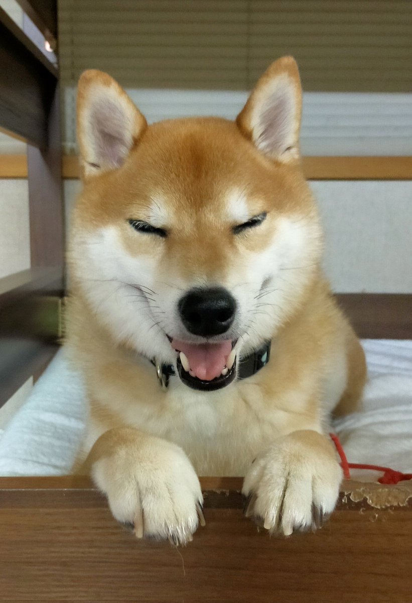 おやすみなさーい🌠