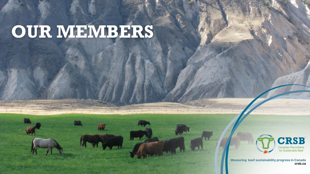 CRSB_beef's tweet image. Our members are Beef Producer Associations, Beef Processors and Associations, Retail & Foodservice Sector, Non-Governmental Organizations, Agriculture and Food Businesses, Academic Institutions, Non-Beef Producer Organizations, and Supporters of our Mission, Vision & Principles.