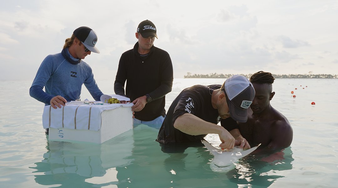 🌊 It all comes down to this. 🦈

The season finale of Investigation Shark Attack airs tonight — and it’s one you don’t want to miss.

Tonight, the team at Shark HQ investigates a series of terrifying shark encounters off Hawaii’s coast to uncover what triggered the chaos.

📺